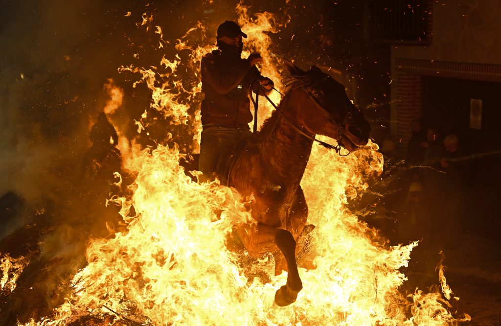 flame-rider_8499_l-1024x666 Manavgat Belediye Başkan Vekili Çiçek, AA'nın "Yılın Kareleri" Oylamasına Katıldı