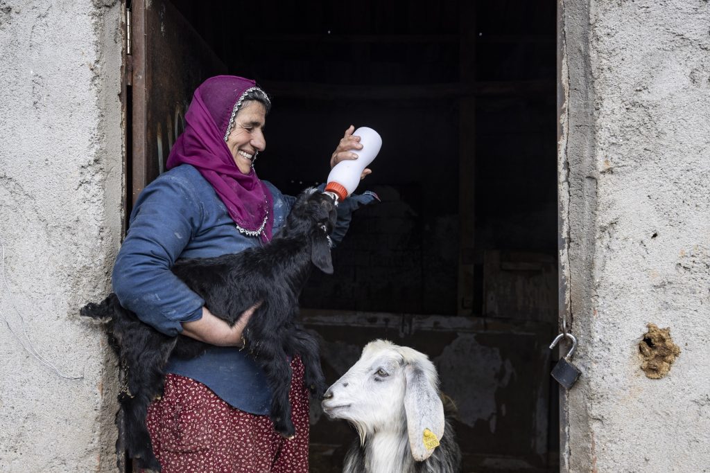 milk-lamb_8540_l-1024x683 Manavgat Belediye Başkan Vekili Çiçek, AA'nın "Yılın Kareleri" Oylamasına Katıldı