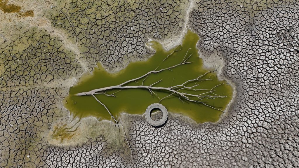 the-end-of-green_8481_l-1024x576 Manavgat Ziraat Odası Başkanı Metin, AA'nın "Yılın Kareleri" Oylamasına Katıldı