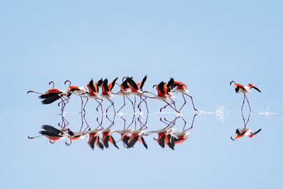 time-to-move_8487_s Manavgat Belediye Başkan Vekili Çiçek, AA'nın "Yılın Kareleri" Oylamasına Katıldı