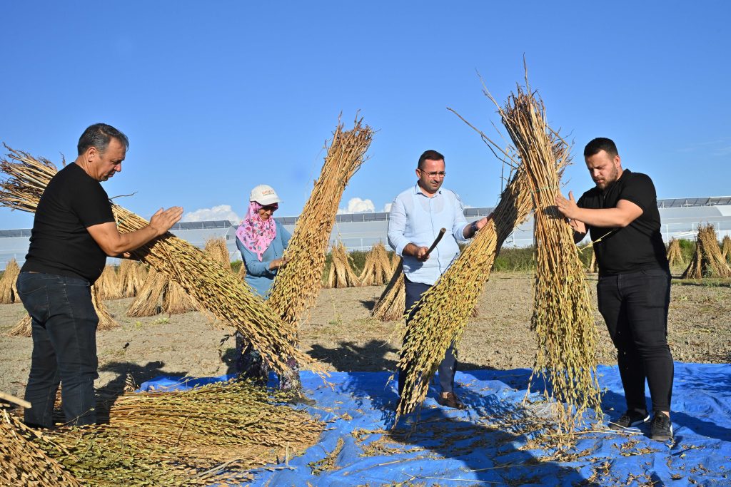 manavgat-altin-susami-ab-yolunda-1760950224-1024x683 Manavgat'ın 'Altın Susamı' AB yolunda